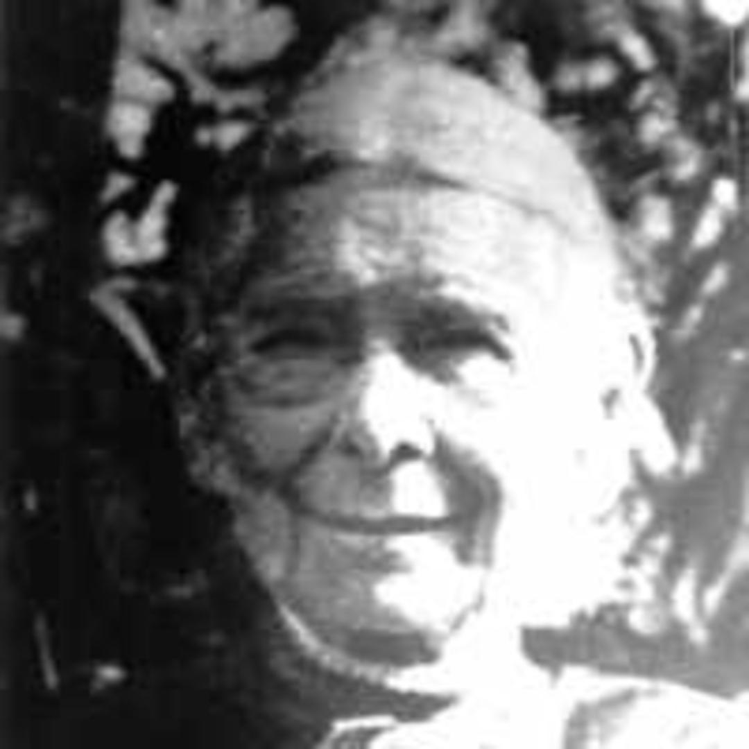 Annie Stewart Brighton (1840 - 1919) Profile
